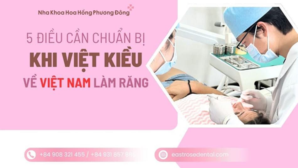 Cẩm nang nha khoa cho Việt kiều: 5 điều cần chuẩn bị trước khi về Việt Nam