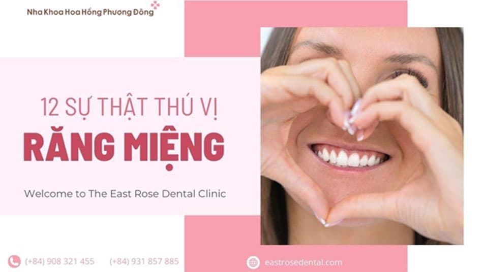 12 Sự thật thú vị về nha khoa có thể bạn chưa biết