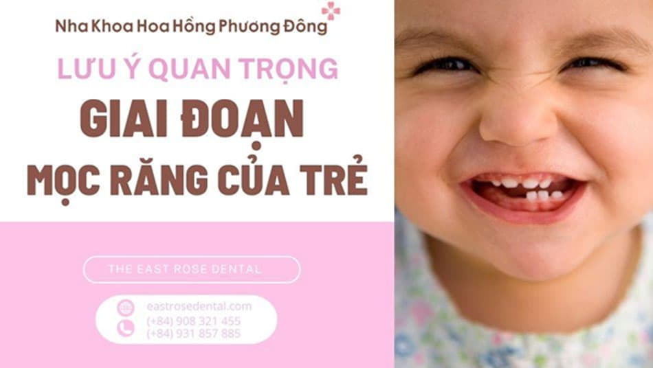 Những lưu ý quan trọng khi trẻ bắt đầu giai đoạn mọc răng