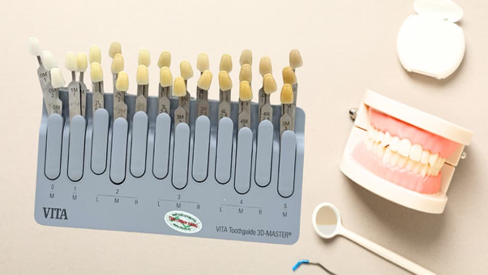 Vita Classical Shade Guide