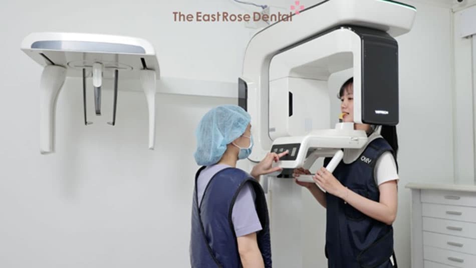 The Dentist consults to determine the optimal number of Implant posts