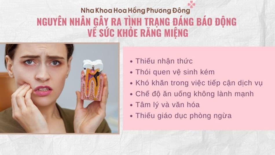 Nguyên nhân gây ra tình trạng đáng báo động về sức khỏe răng miệng toàn cầu