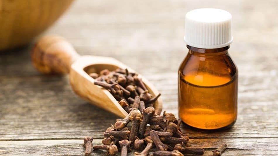 Clove oil is effective in reducing inflammation and fighting bacteria