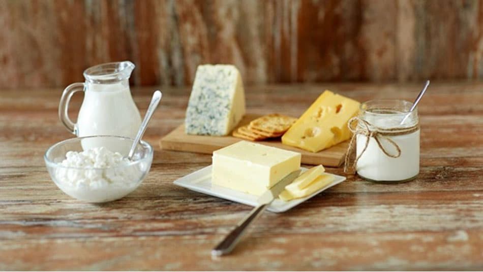 Những sản phẩm từ sữa cung cấp canxi và protein dồi dào