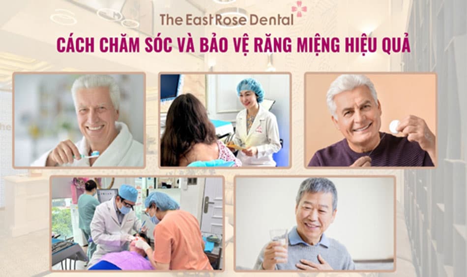 Hướng dẫn chăm sóc và bảo vệ răng miệng hiệu quả cho người cao tuổi