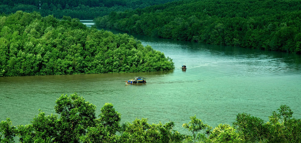 Can Gio eco-tourism area