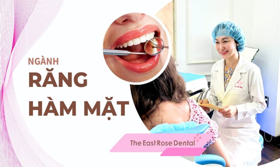 Tìm hiểu tổng quan về ngành nha khoa