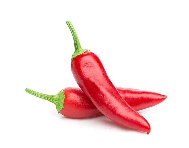 capsaicin in chilli
