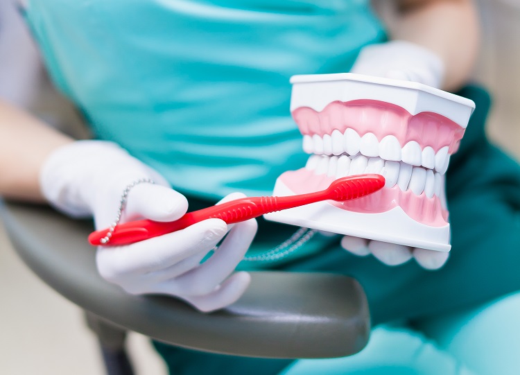 brush teeth in the right direction